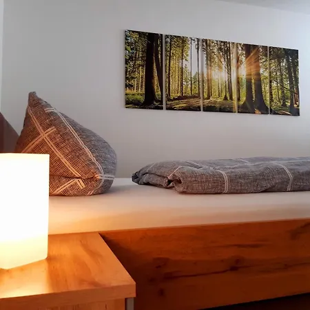 Stadtoase: Spacious With Balcony For Contractors Apartment Frankenberg